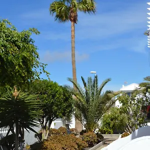 https://lava-teneguia-5-guests-in-2-bedrooms.in-canary-islands.com